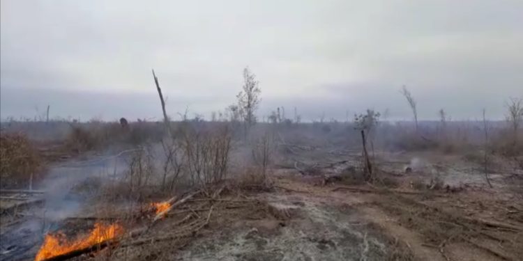 Solicitan maquinarias para combatir incendio en zona del Pilcomayo Solicitan maquinarias para combatir incendio en zona del Pilcomayo