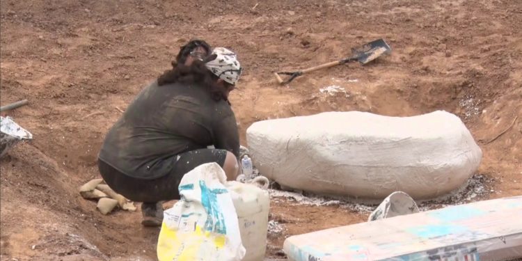 Hallan fósil de «armadillo gigante» en Neuland