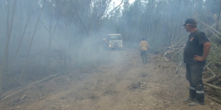 Cerca de 3.000 hectáreas afectadas tras incendio forestal en la zona del Pilcomayo Cerca de 3.000 hectáreas afectadas tras incendio forestal en la zona del Pilcomayo