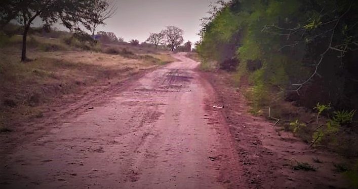 Iniciativa ciudadana en Irala Fernández fomenta caminata y limpieza del medio ambiente Iniciativa ciudadana en Irala Fernández fomenta caminata y limpieza del medio ambiente
