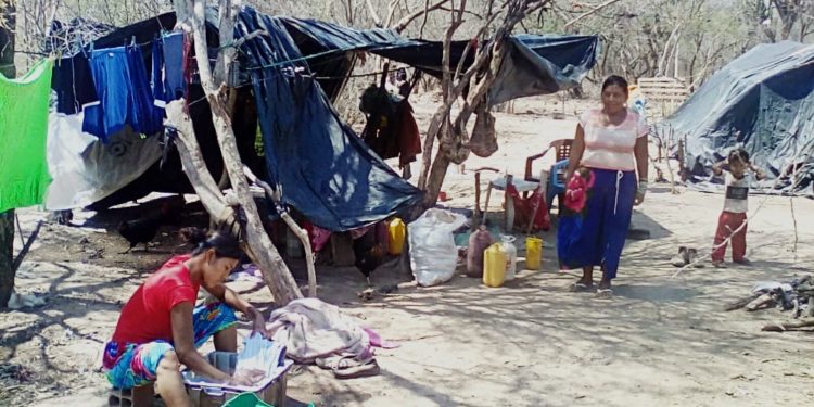 Chaco: Una década sin acceder a tierras