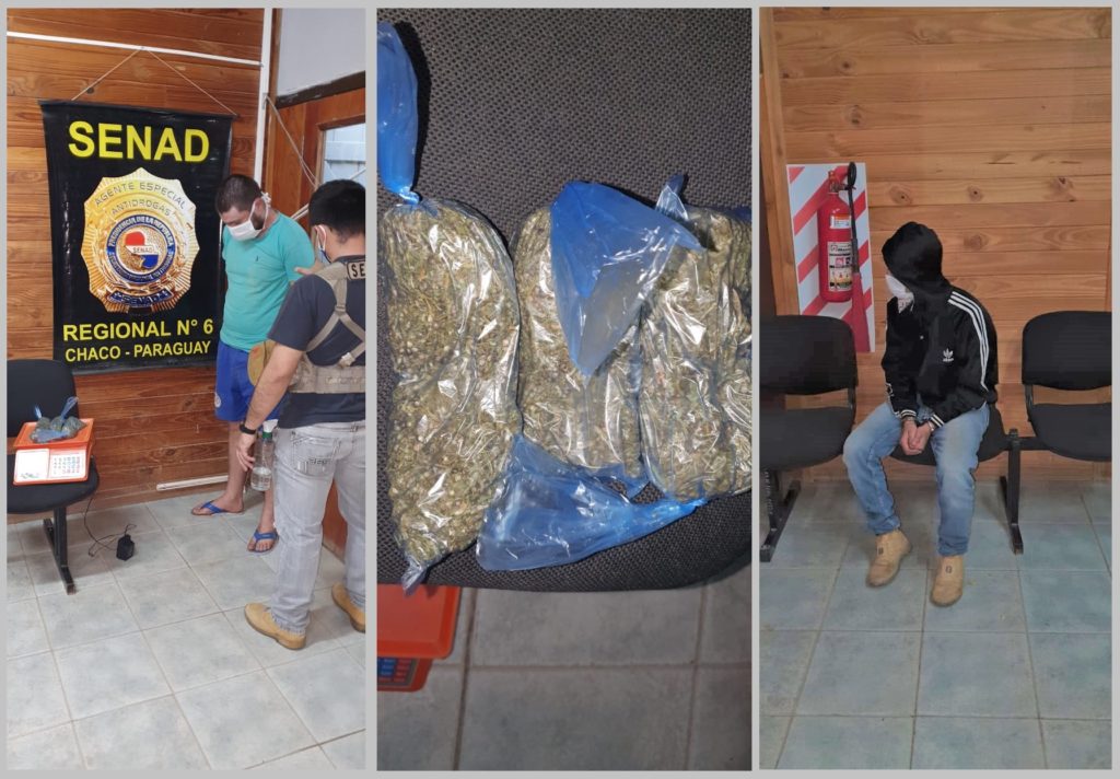 Dos jóvenes fueron detenidos en Loma Plata por tenencia y distribución de marihuana Dos jóvenes fueron detenidos en Loma Plata por tenencia y distribución de marihuana