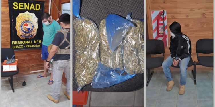 Dos jóvenes fueron detenidos en Loma Plata por tenencia y distribución de marihuana