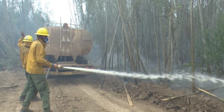Más de 1.700 focos de calor detectados en las últimas 24 horas en suelo chaqueño Más de 1.700 focos de calor detectados en las últimas 24 horas en suelo chaqueño