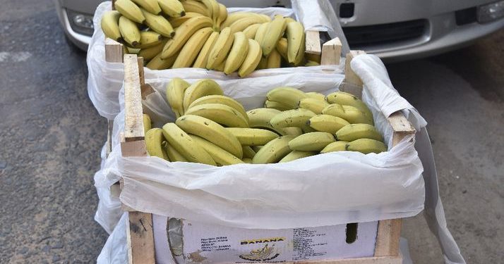 Alto Paraguay: Más de 4 mil alumnos recibirán frutas en merienda escolar