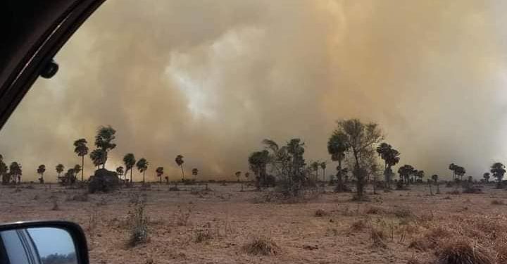 Un hombre fallece en incendio forestal en Gral. Bruguez