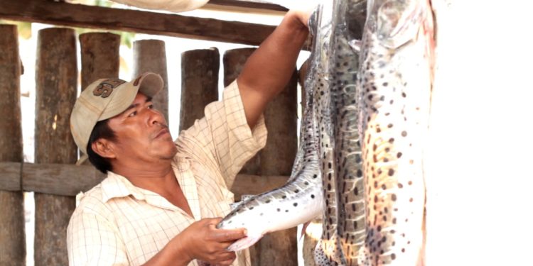 Pescadores de comunidades indígenas se nuclean para potenciar sector