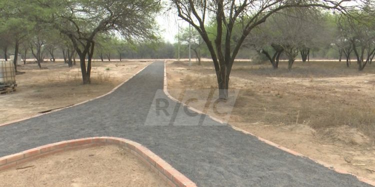 Neuland: Obras están paradas por falta de cemento