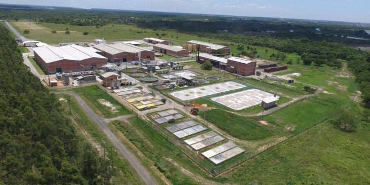 Cencoprod: La verdad de la exportación del cuero paraguayo Cencoprod: La verdad de la exportación del cuero paraguayo