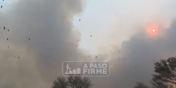 El Chaco y el trabajo en el combate contra incendios