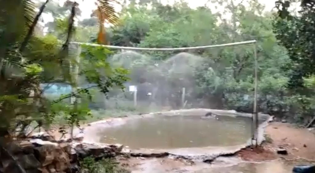 Duchas en el zoológico de Asunción traen alivio a los animales Duchas en el zoológico de Asunción traen alivio a los animales