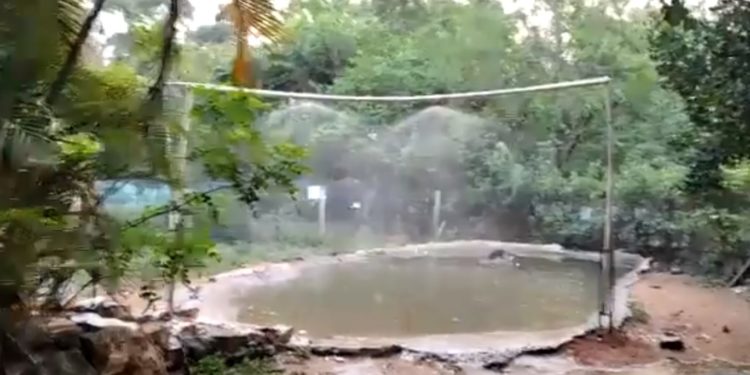 Duchas en el zoológico de Asunción traen alivio a los animales Duchas en el zoológico de Asunción traen alivio a los animales