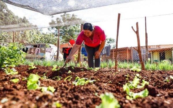Buscan reducir la pobreza en el país