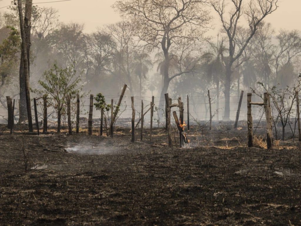AFD dispone de G. 150.000 millones para productores afectados por los incendios AFD dispone de G. 150.000 millones para productores afectados por los incendios