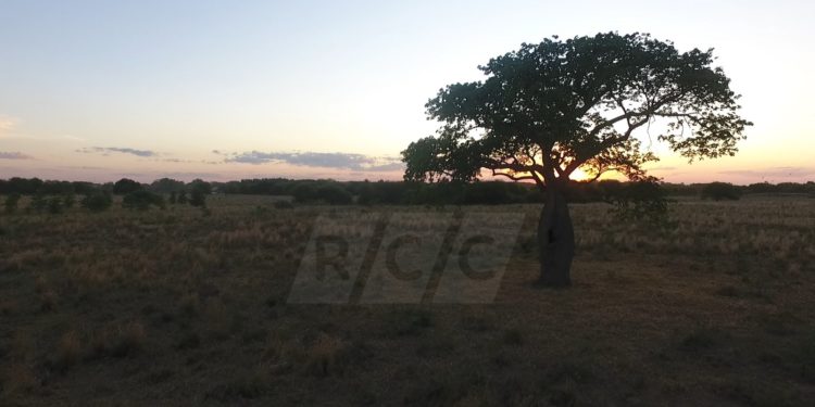 Miércoles con temperaturas en ascenso