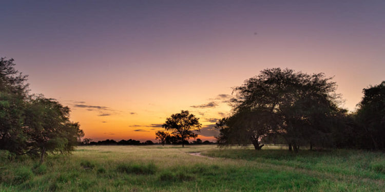 Pronostican un martes fresco a caluroso con vientos del sureste