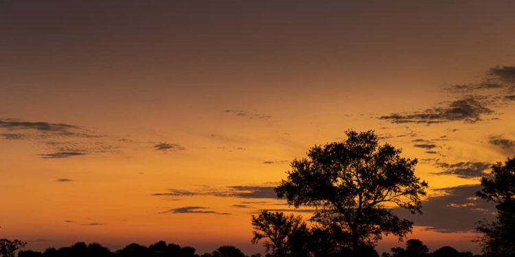 Lunes muy caluroso y con vientos del noreste