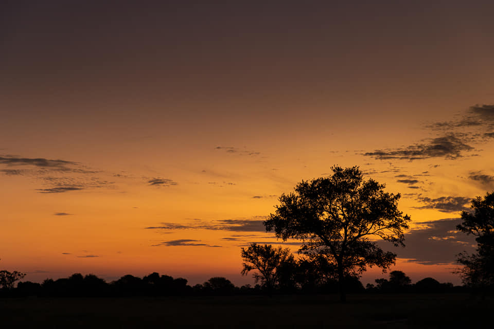 Lunes muy caluroso y con vientos del noreste