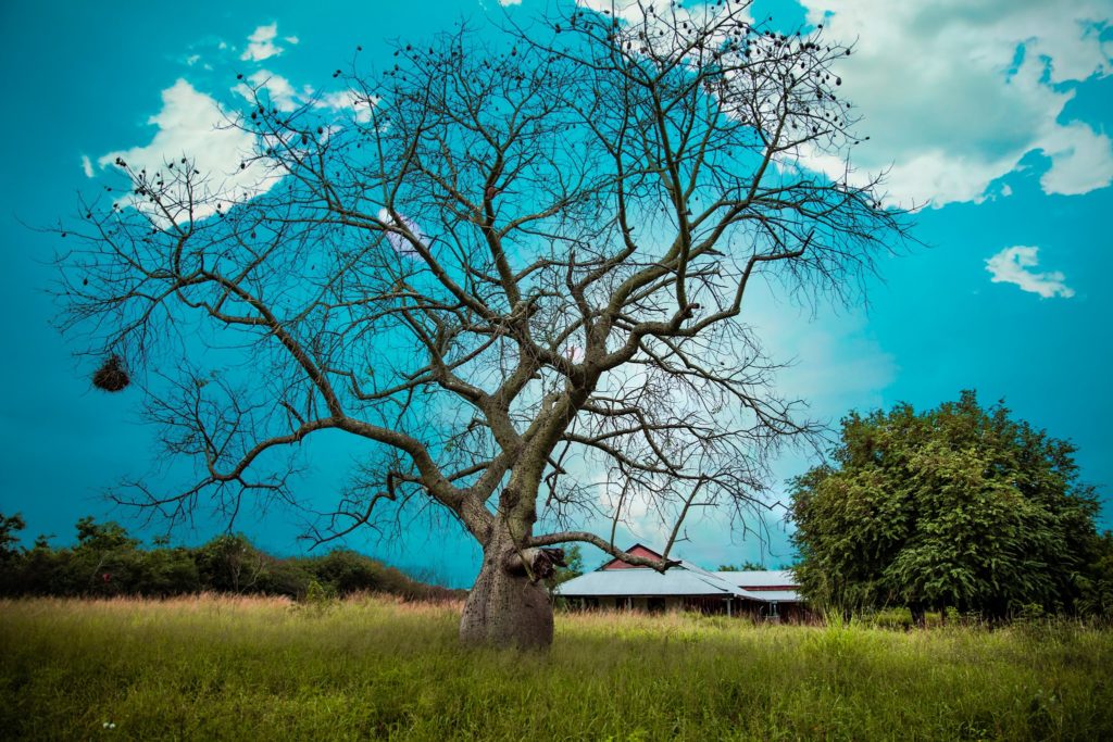 Inicio de semana laboral con temperaturas calurosas y chaparrones
