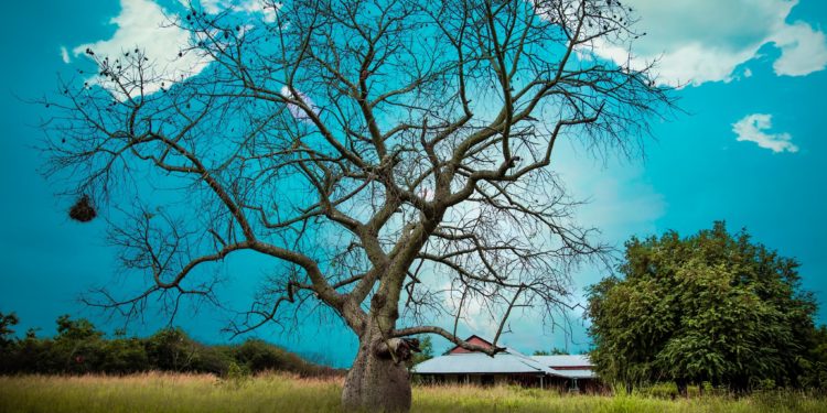 Inicio de semana laboral con temperaturas calurosas y chaparrones