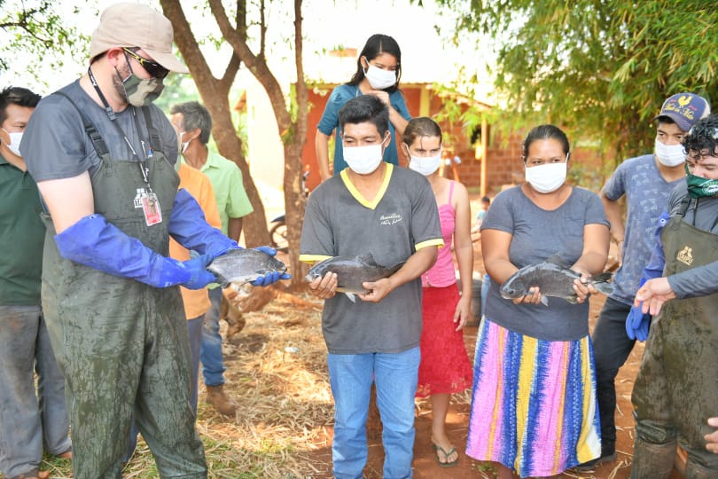 Pdte. Franco: Entregan peces para consumo y engorde a comunidades indígenas