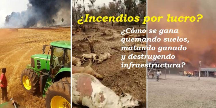 Quema de campos y su impacto sobre los suelos