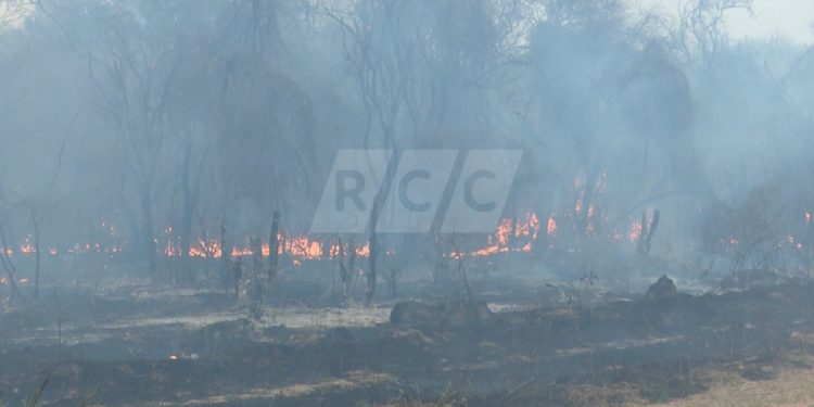 SEN y bomberos voluntarios combaten de forma conjunta incendios en el bajo Chaco SEN y bomberos voluntarios combaten de forma conjunta incendios en el bajo Chaco