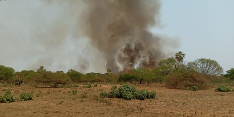 Pobladores solicitan ayuda para sofocar incendio en zona del pantanal