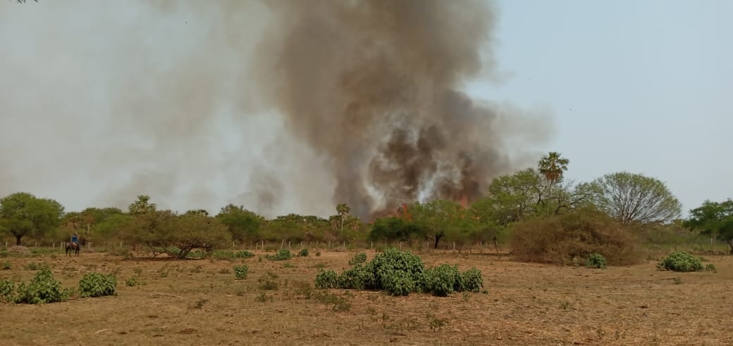 Pobladores solicitan ayuda para sofocar incendio en zona del pantanal