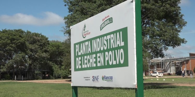 A pesar de la sequía producción láctea aumentó en un 8% en el Chaco A pesar de la sequía producción láctea aumentó en un 8% en el Chaco