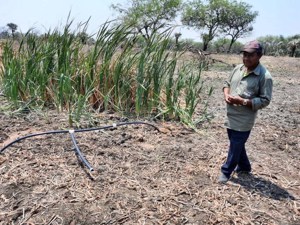 Comunidad indígena del Chaco encuentra agua dulce en plena sequía Comunidad indígena del Chaco encuentra agua dulce en plena sequía