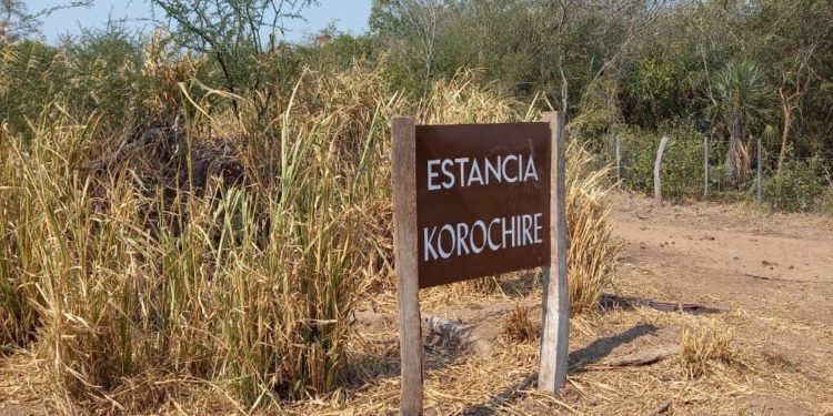 Conflicto de tierras e imputación por incendio forestal en estancia chaqueña Conflicto de tierras e imputación por incendio forestal en estancia chaqueña