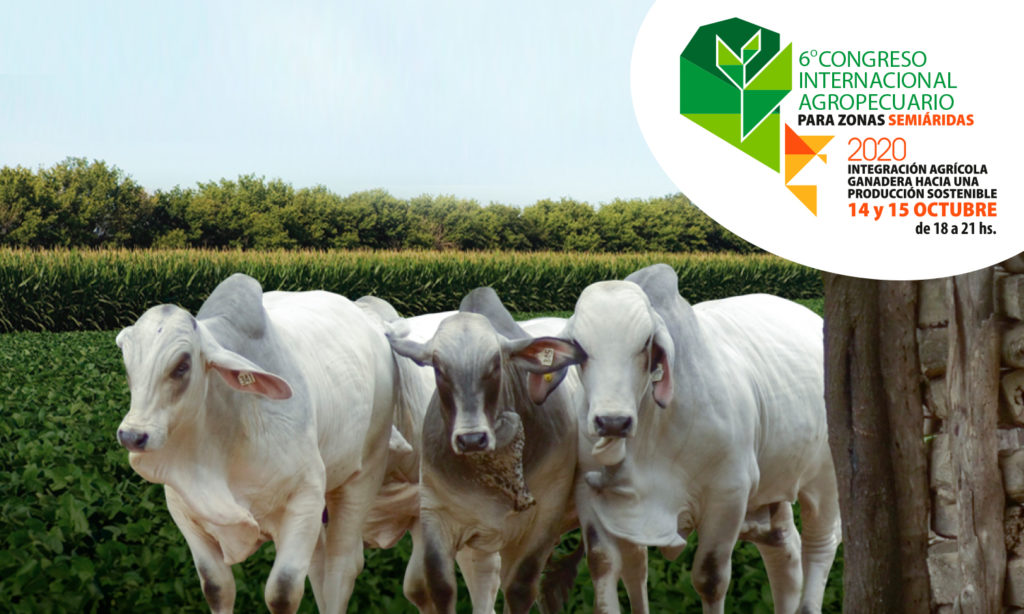 Preparan sexto Congreso Internacional Agropecuario para zonas semiáridas Preparan sexto Congreso Internacional Agropecuario para zonas semiáridas