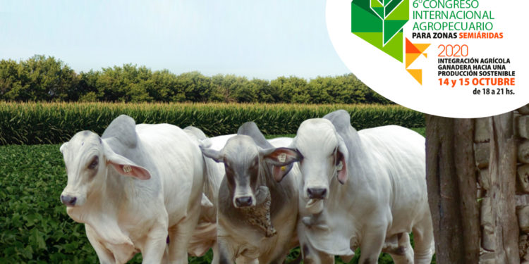 Preparan sexto Congreso Internacional Agropecuario para zonas semiáridas Preparan sexto Congreso Internacional Agropecuario para zonas semiáridas