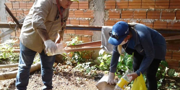 Tras lluvias se debe combatir al Dengue Tras lluvias se debe combatir al Dengue