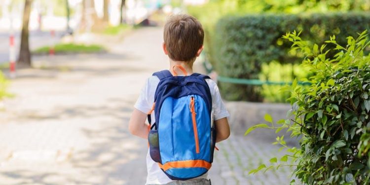 Paraguay se destaca con avances en la lucha contra el trabajo infantil Paraguay se destaca con avances en la lucha contra el trabajo infantil