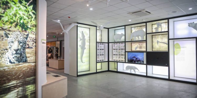 Buscan reactivar ferias de artesanía