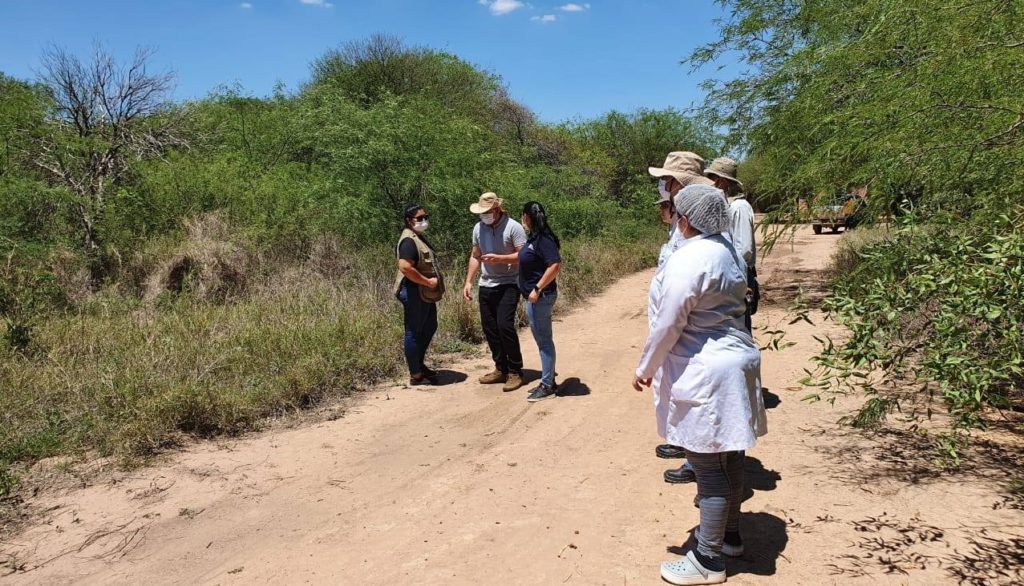 Nuevas USF requerirán de más personal