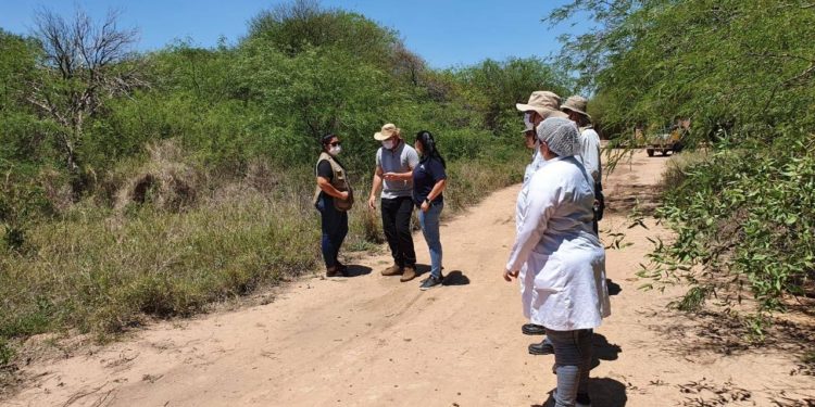 Nuevas USF requerirán de más personal Nuevas USF requerirán de más personal