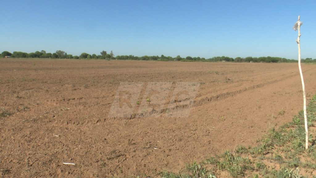 Yalve Sanga se prepara para sembrar sésamo Yalve Sanga se prepara para sembrar sésamo