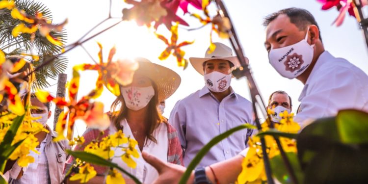 Habilitan Expo Feria de Orquídeas en San Lorenzo Habilitan Expo Feria de Orquídeas en San Lorenzo