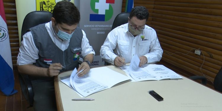 Municipalidad fiscalizará obra de SENACSA