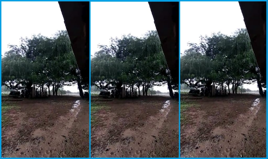 Lluvia trae alivio a productores del Pilcomayo Lluvia trae alivio a productores del Pilcomayo