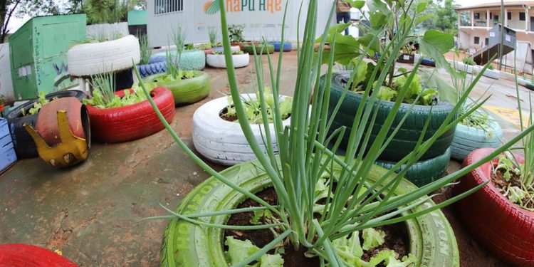 Habilitan segundo Centro de Capacitación y beneficia al Bajo Chaco Habilitan segundo Centro de Capacitación y beneficia al Bajo Chaco