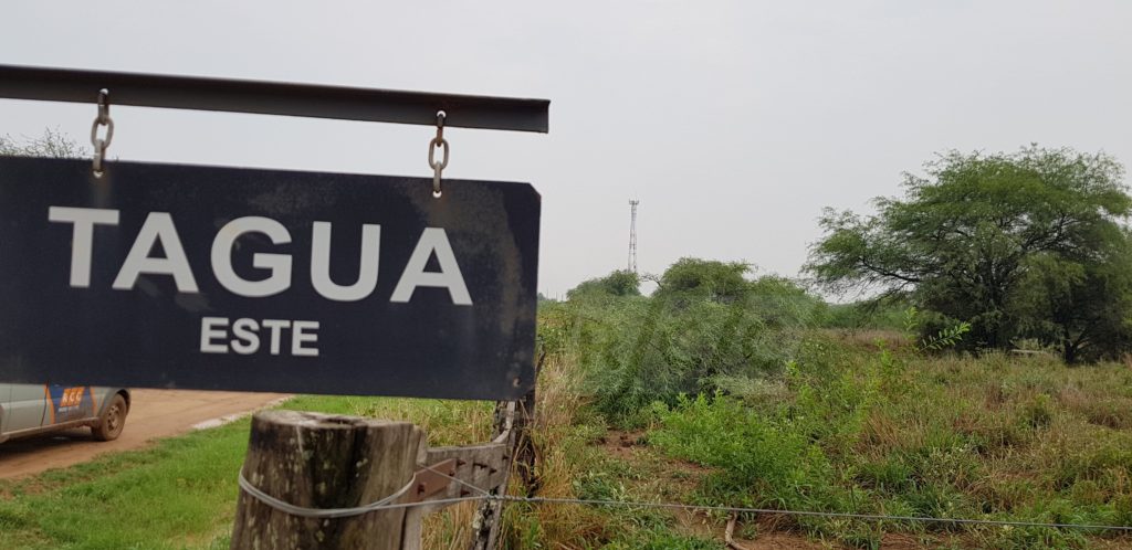 Jueves cálido a caluroso y con vientos del sureste