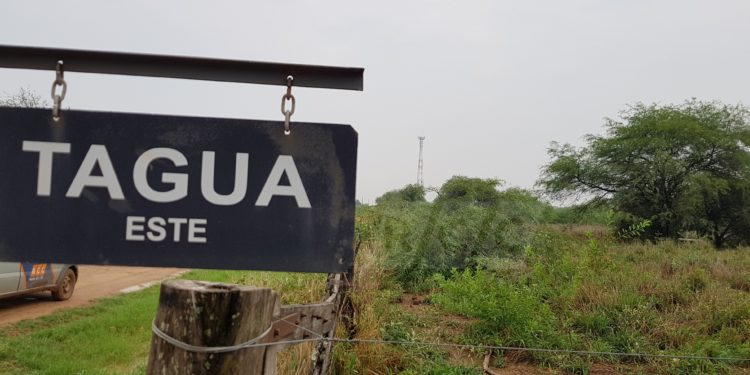 Jueves cálido a caluroso y con vientos del sureste