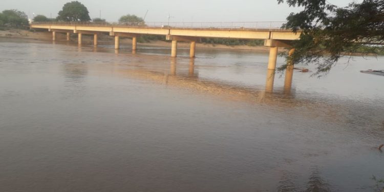 Valiosas lluvias cayeron en el Pilcomayo Valiosas lluvias cayeron en el Pilcomayo