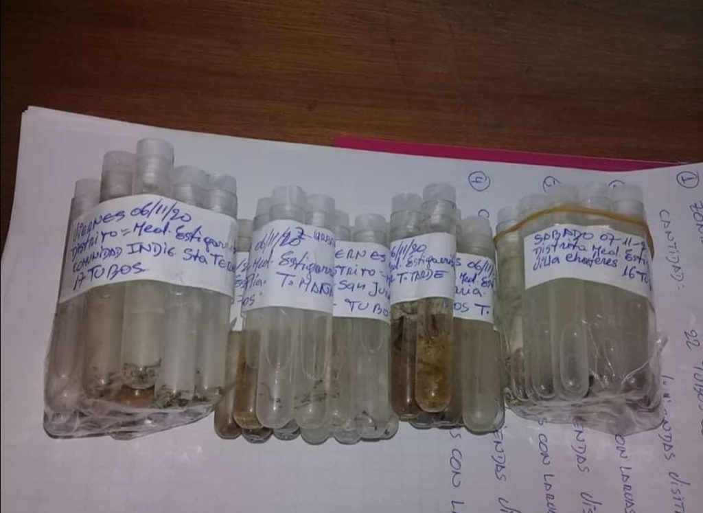 Boquerón en riesgo por Aedes Aegypti Boquerón en riesgo por Aedes Aegypti