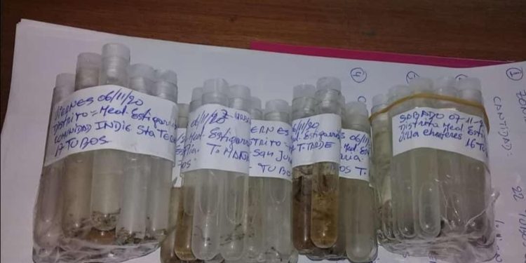 Boquerón en riesgo por Aedes Aegypti Boquerón en riesgo por Aedes Aegypti