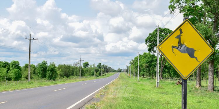 Pronostican una jornada calurosa Pronostican una jornada calurosa